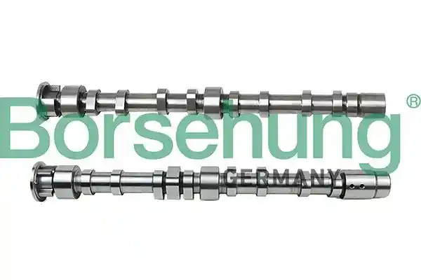 Borsehung B13455