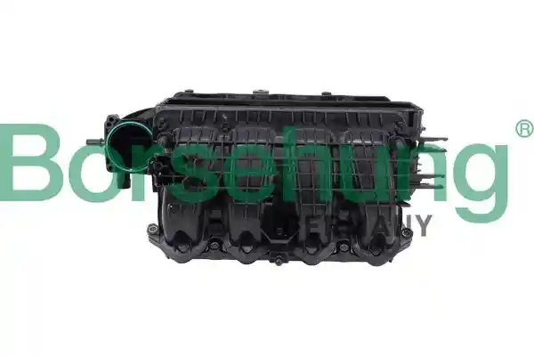 Borsehung B13494