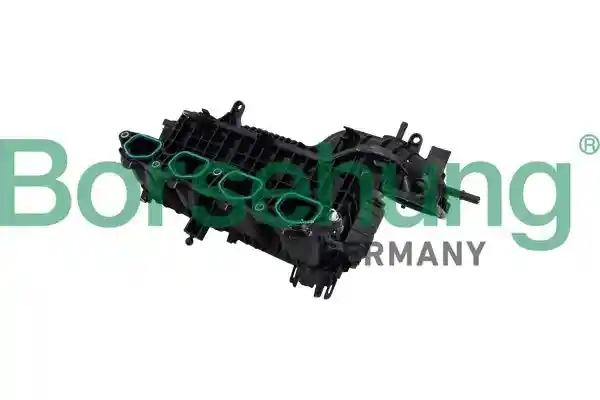Borsehung B13494