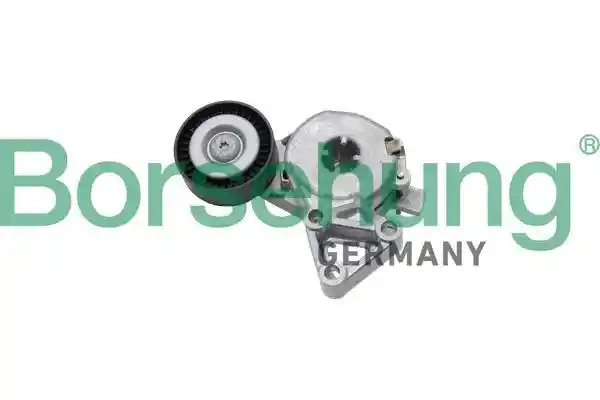 Borsehung B13508