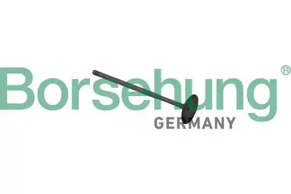 Borsehung B13510
