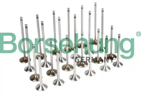 Borsehung B13512