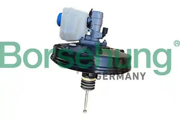 Borsehung B13556