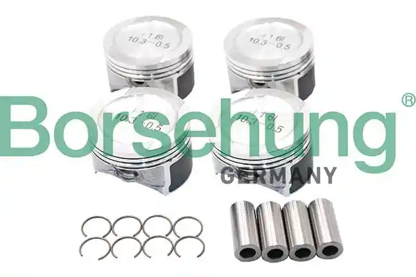 Borsehung B13578