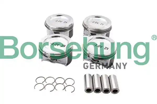 Borsehung B13581 Borsehung B13581
