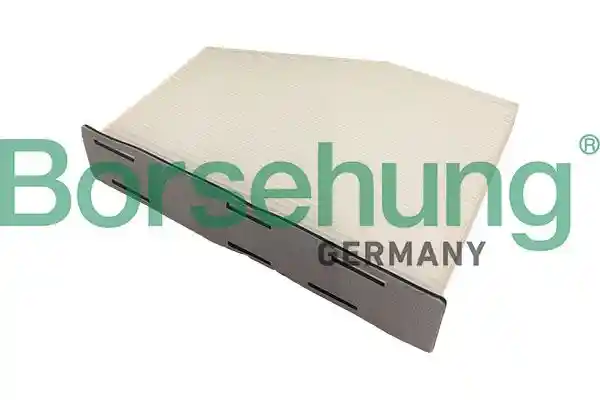 Borsehung B13657