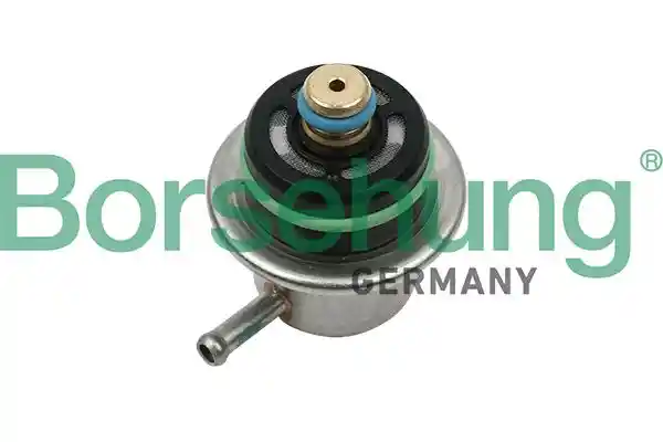 Borsehung B13669