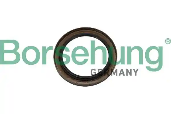 Borsehung B13747