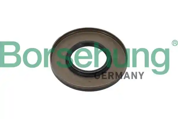 Borsehung B13748