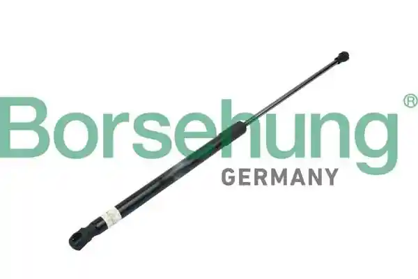 Borsehung B14189