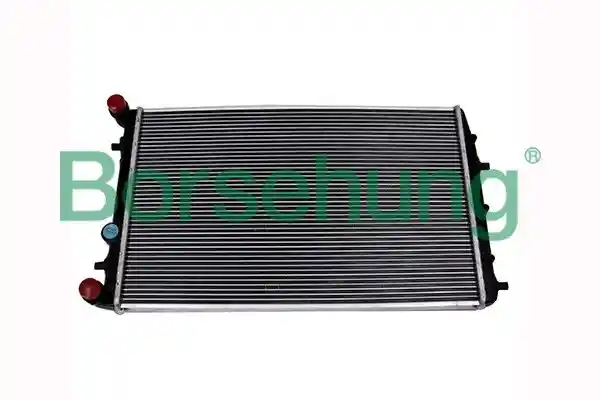 Borsehung B14499