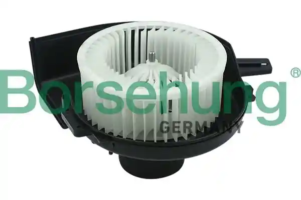 Borsehung B14596