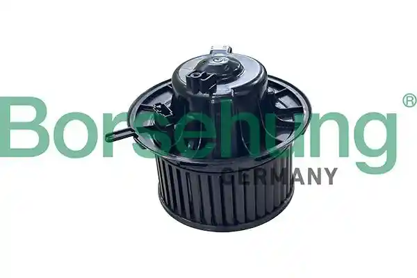 Borsehung B14597