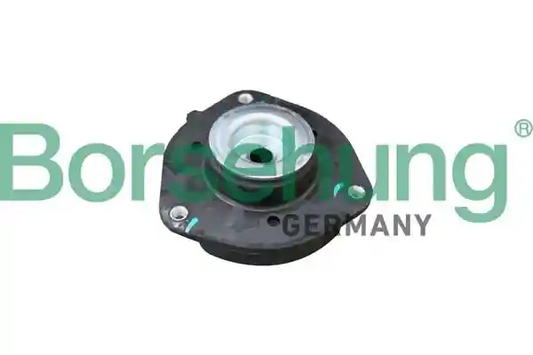 Borsehung B15446