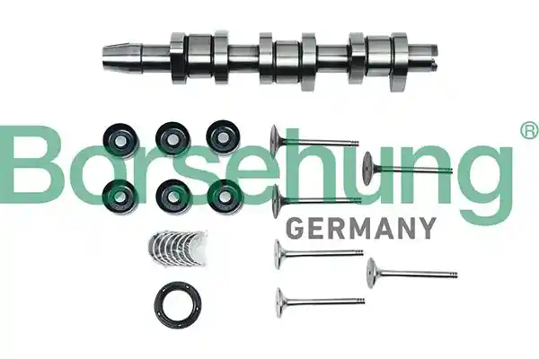Borsehung B17130