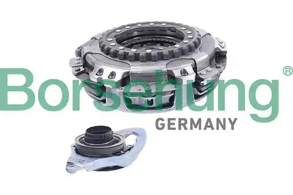 Borsehung B17860