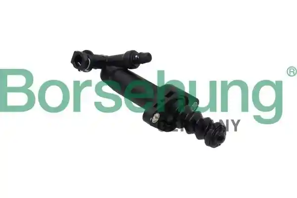 Borsehung B17866