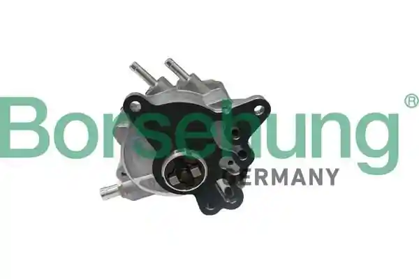 Borsehung B17906