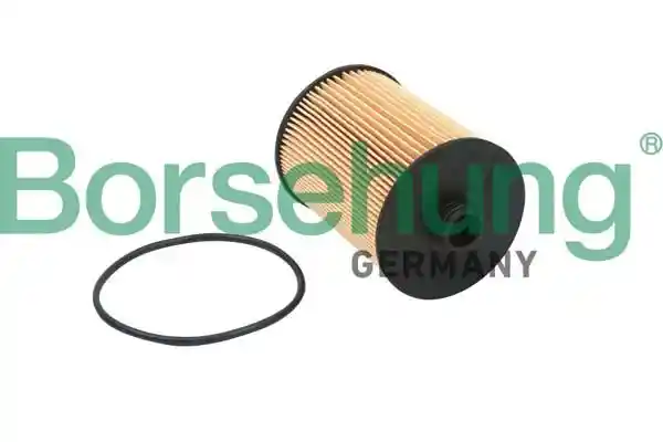 Borsehung B18015