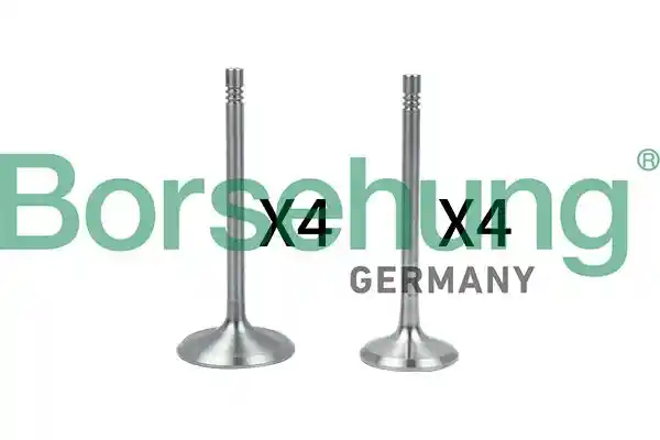 Borsehung B18146