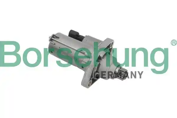 Borsehung B18163