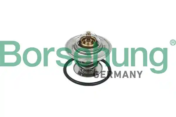 Borsehung B18244
