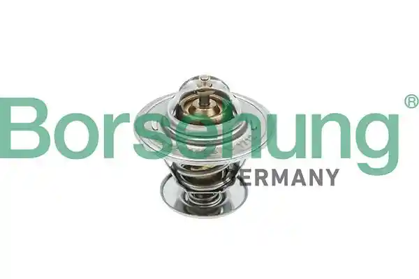 Borsehung B18245