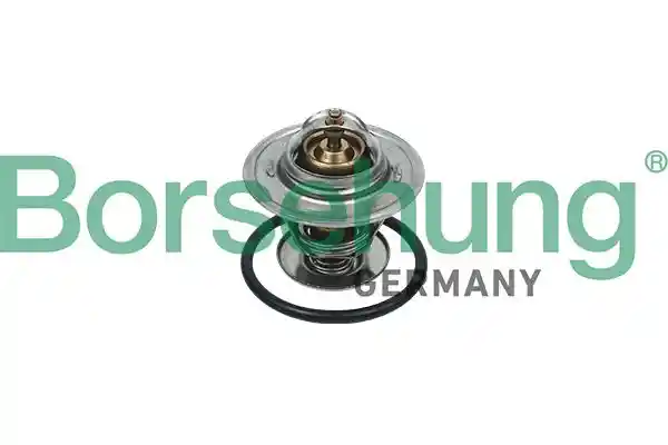 Borsehung B18246