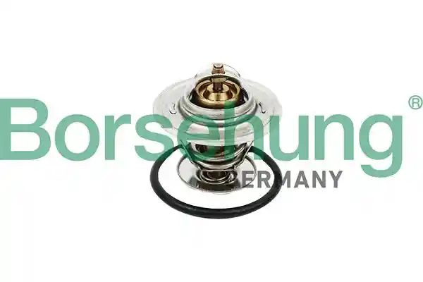 Borsehung B18256