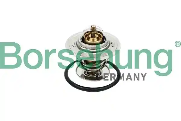 Borsehung B18258