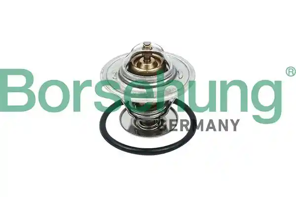 Borsehung B18260