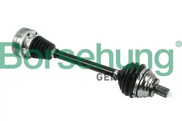Borsehung B18359