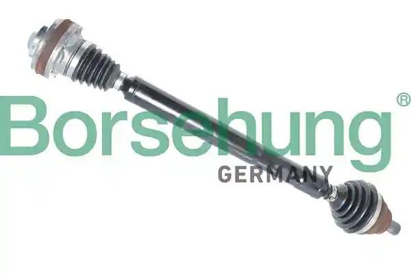 Borsehung B18360