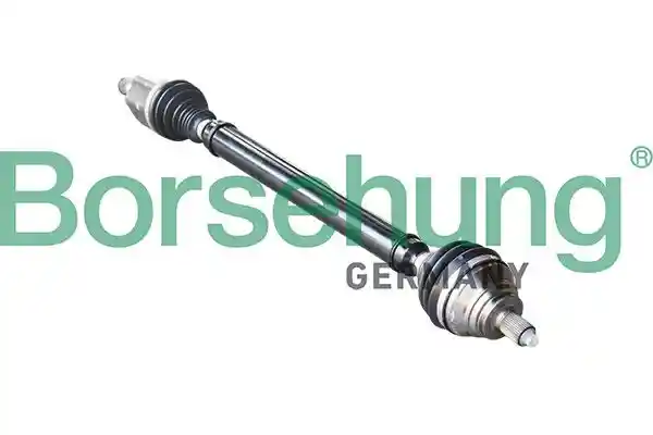 Borsehung B18405 Borsehung B18405