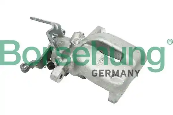 Borsehung B18532