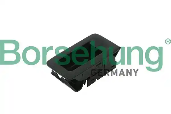 Borsehung B18624