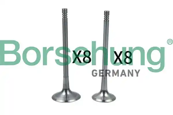 Borsehung B18634