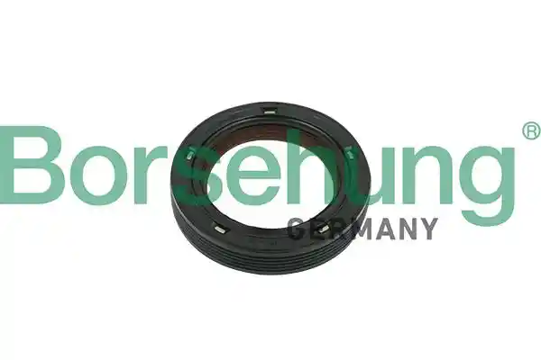 Borsehung B18729