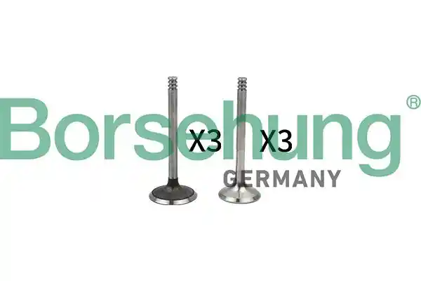 Borsehung B18765