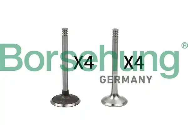 Borsehung B18766