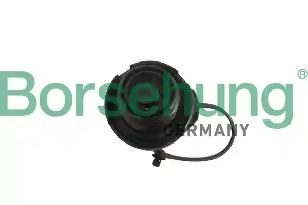 Borsehung B18790