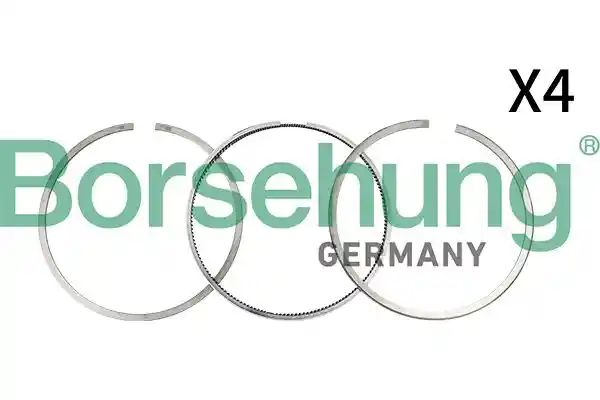Borsehung B18816