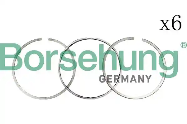 Borsehung B18817