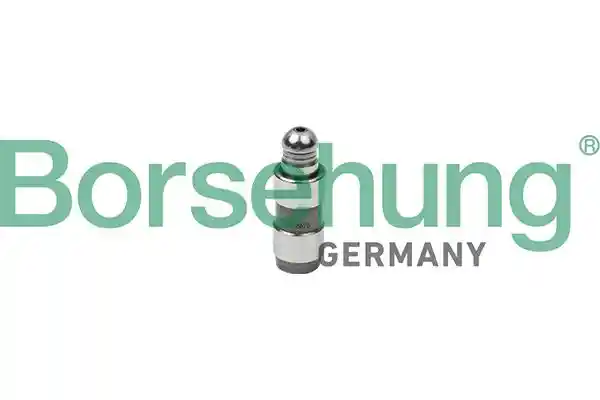 Borsehung B18828