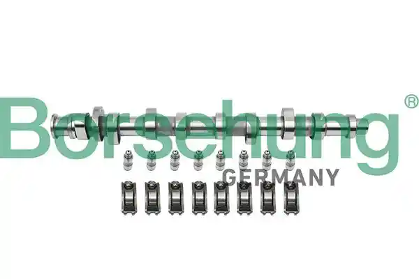 Borsehung B18859