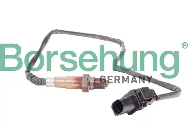 Borsehung B18923
