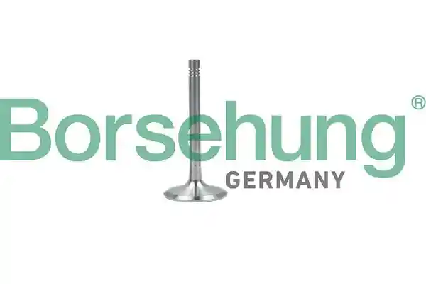 Borsehung B19001 Borsehung B19001