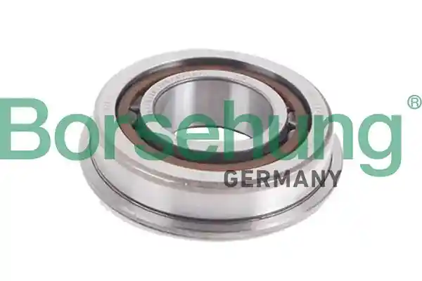 Borsehung B19057