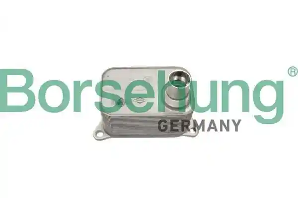 Borsehung B19085