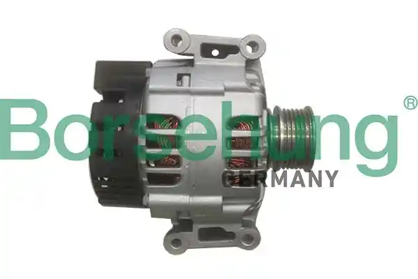 Borsehung B19114
